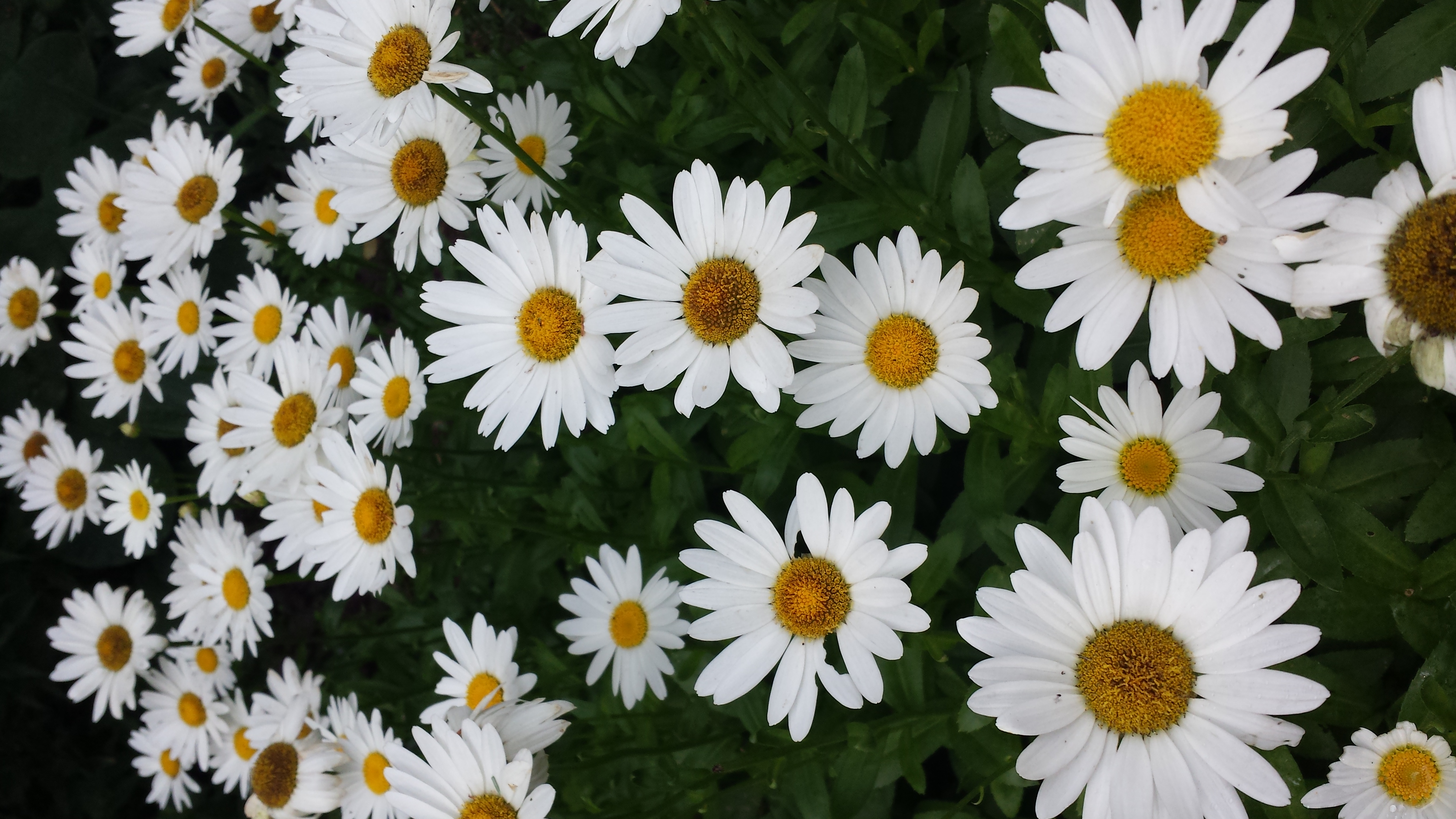 One Step At a Time Starts with the First Step!