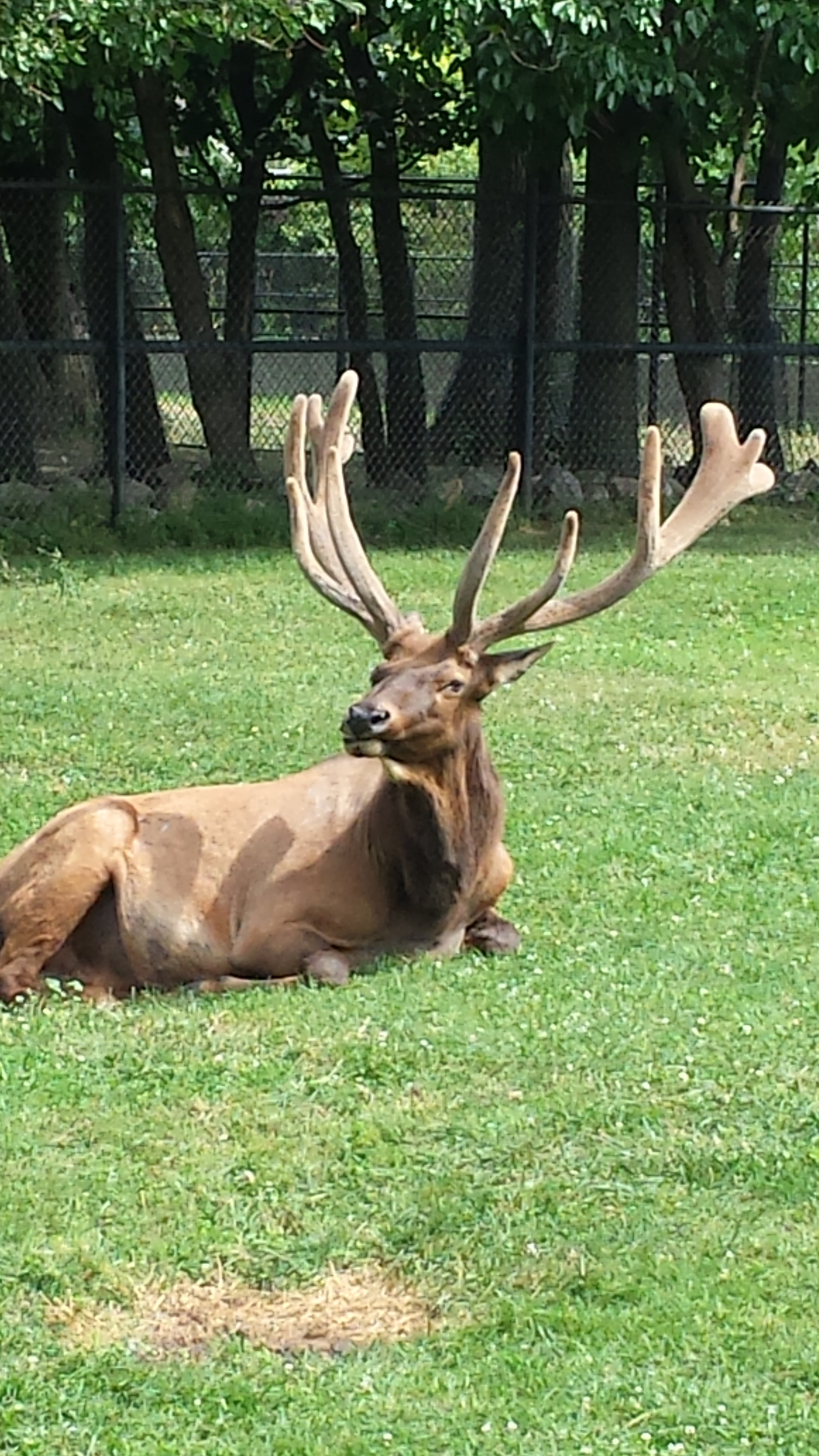 Sleep=Downtime for R&M