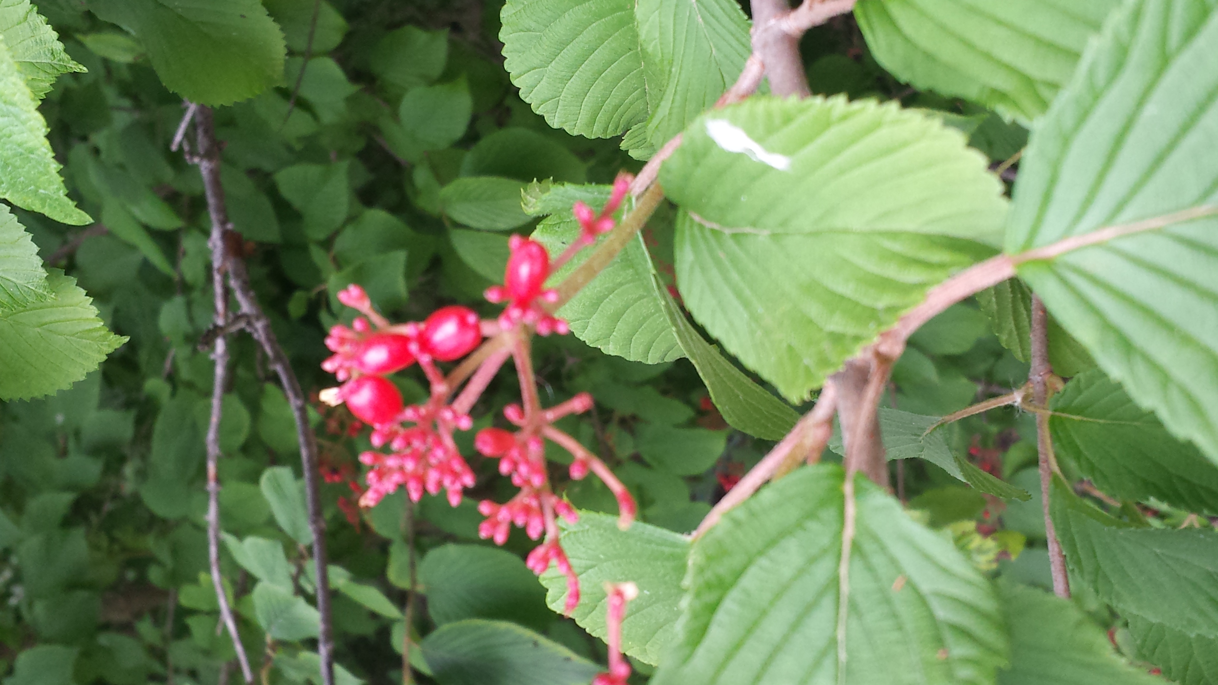 Moderation, More, or Less!